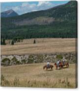 Horses In The Mountains Canvas Print