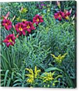 Hot July Daylilies Canvas Print