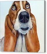 Hound Dog Eyes Canvas Print