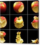 How To Eat An Apple In 9 Easy Steps Canvas Print