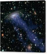 Hubble Image Of A Runaway Galaxy Canvas Print