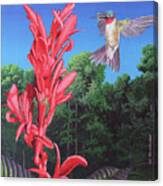 Hummingbird And Flower Canvas Print