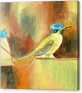 Hummingbird, Ecuador Canvas Print