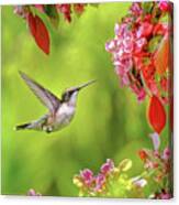 Hummingbird Happiness Garden Canvas Print