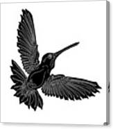 Hummingbird Ink 5 Canvas Print
