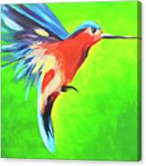 Hummingbird Xxiv Canvas Print