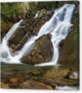 Huntington Cascades Springtime Canvas Print