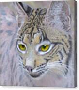 Iberian Lynx, Mixed Media. Canvas Print