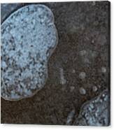 Ice Abstract With Bubbles Canvas Print