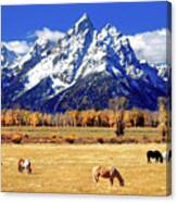 Icons Of The American West Canvas Print