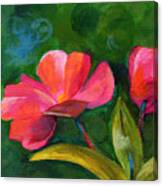 Impatiens Canvas Print