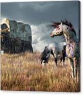Indian Ponies And Abandoned Wagon Canvas Print