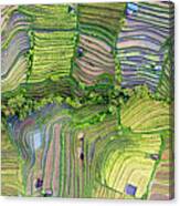 Indonesia Bali Rice Terraces Aerial From Above Canvas Print