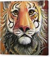 Intent Tiger Canvas Print