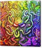 Interwoven Rainbow Magic Canvas Print