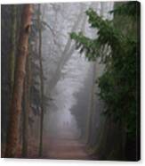 Into The Fog Canvas Print