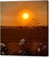 Iphonography Sunset 1 Canvas Print