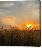 Iphonography Sunset 3 Canvas Print