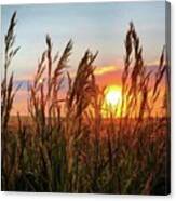 Iphonography Sunset 5 Canvas Print