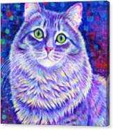 Iridescence - Colorful Gray Tabby Cat Canvas Print
