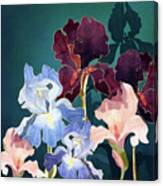 Iris Abstract Canvas Print