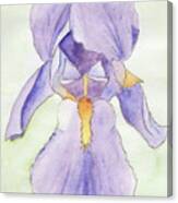 Iris Magic Canvas Print