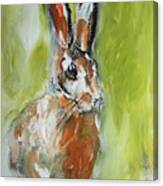 Irish Hare Painting Canvas Print