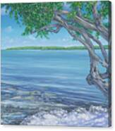 Islamorada Mangroves Canvas Print