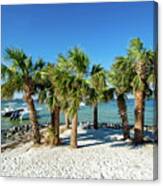 Island Palm Trees And Boats, Pensacola Beach, Florida Canvas Print