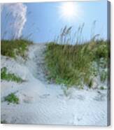 Isle Of Palms Sand Dunes - Sunny Skies Canvas Print