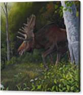 Northwoods Moose Canvas Print