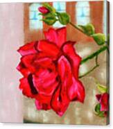 Italian Rose Canvas Print