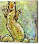 It's A Gecko Canvas Print