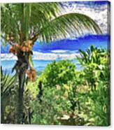 Jamaican Jungle Canvas Print