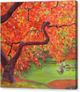 Japanese Maple Tree Canvas Print