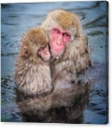 Japanese Snow Monkey Mom And Baby Ii Canvas Print