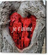 Je T'aime Red Heart In A Tree Canvas Print