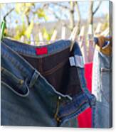 Jeans Trousers Laundry Drying Outdoors Canvas Print