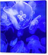 Jellyfish In The Water Canvas Print