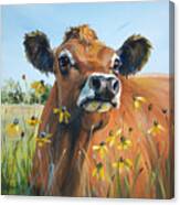Suzy - Jersey Cow Painting Canvas Print