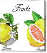 Juicy Fruits Grapefruit And Lemon Watercolor Art Canvas Print