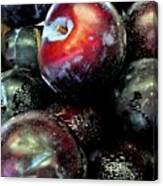 Juicy Plums At The Farmer's Market Canvas Print