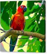 Jungle Parakeet Canvas Print