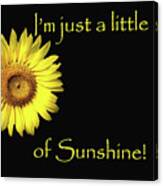 Just A Ray Of Sunshine Canvas Print
