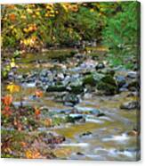 Kanaka Creek In The Fall Canvas Print