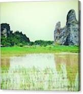 Karst Mountain And Paddy Field Canvas Print