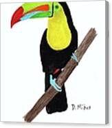 Keel-billed Toucan Day 3 Challenge Canvas Print