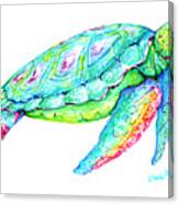 Key West Turtle 2 Study Canvas Print