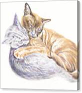 Two Sleeping Cats - Warmest Hug Canvas Print