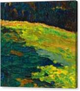 Kochel - Mountain Meadow At The Edge Of The Forest 1902 Canvas Print